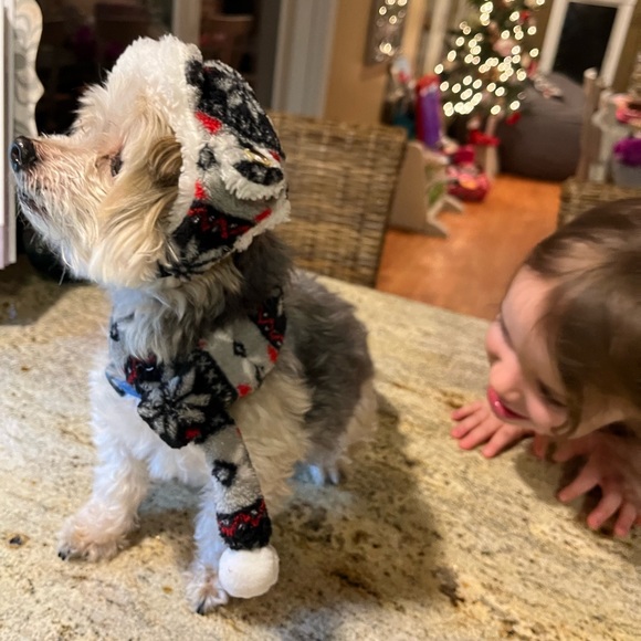 Doggie hat and scarf 🧣 🐶 - Picture 6 of 6